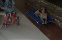 hank in house