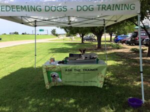 Dog Trainer vs Dog Behaviorist Dallas 