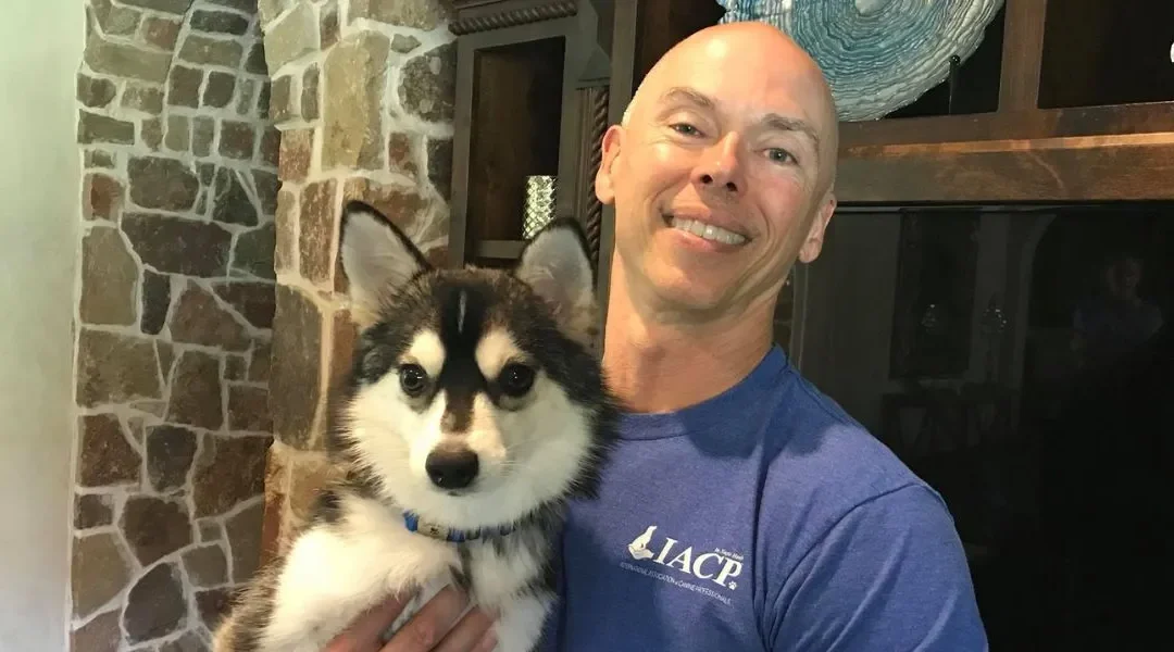 Top Benefits of Positive Reinforcement for Training Dogs in Dallas