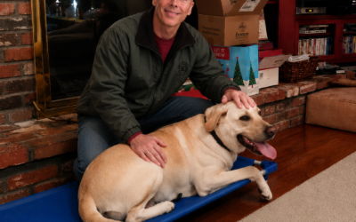 Building a Positive Training Environment at Home for Your Dog