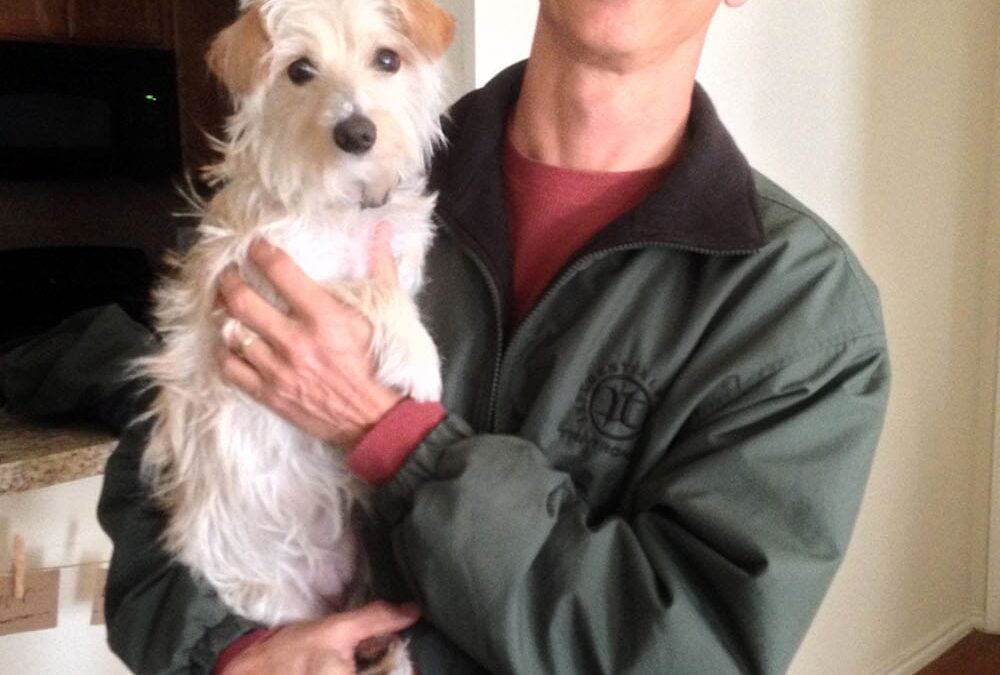 Toilet Training Strategies for Puppies: Setting the Foundation for Success